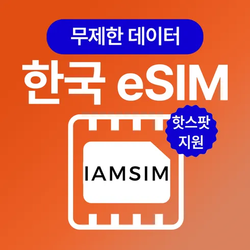 2024년 최고의 한국esim 베스트8